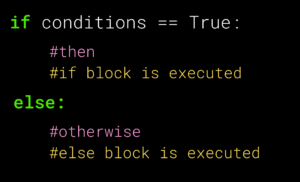 Explain if-else statement in python – allinpython.com