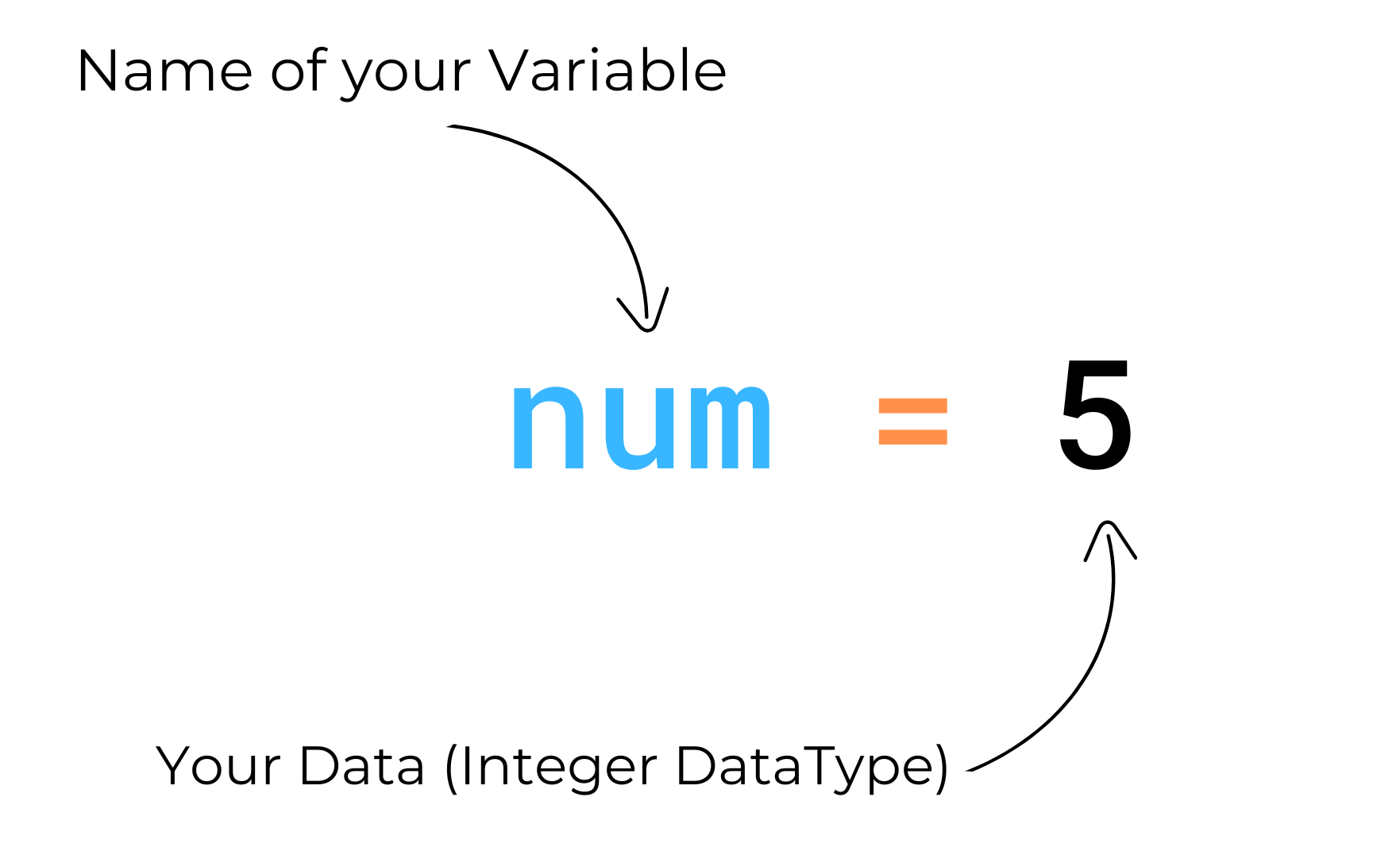 variables-and-user-input-in-python-allinpython