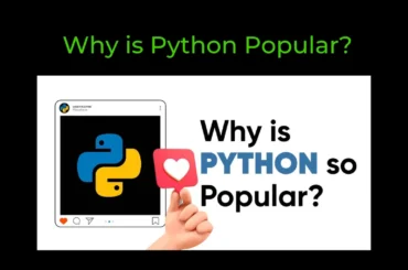 Why is Python Popular